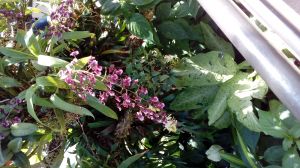 20170506_142433.jpg